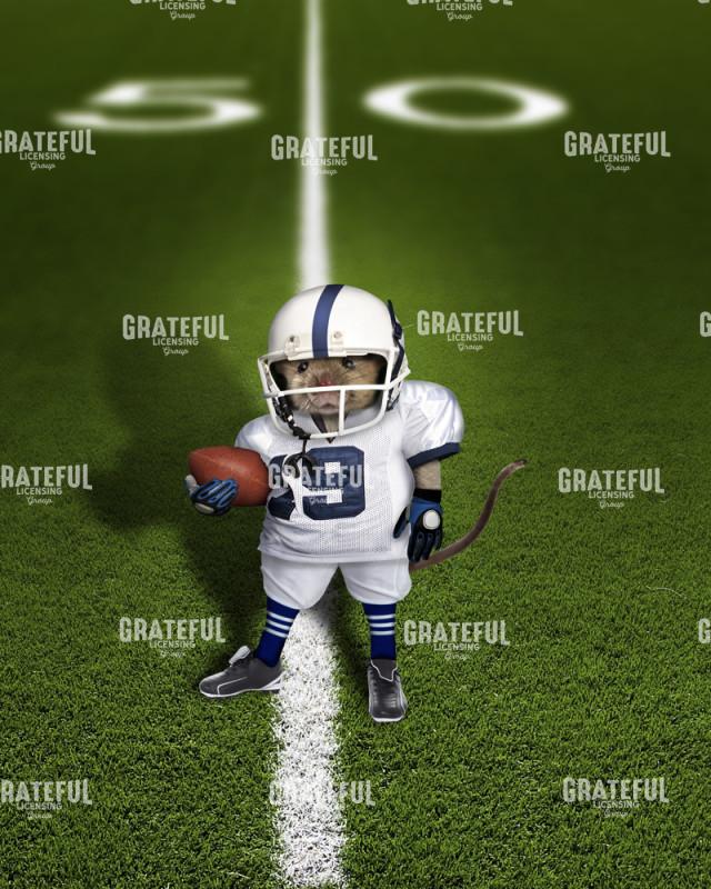 Football mouse