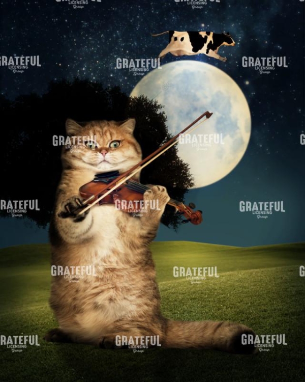 Cat and the fiddle