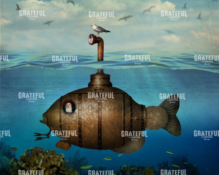 Fish submarine