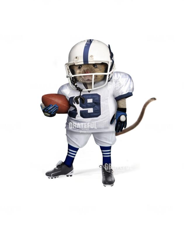 Mouse Football