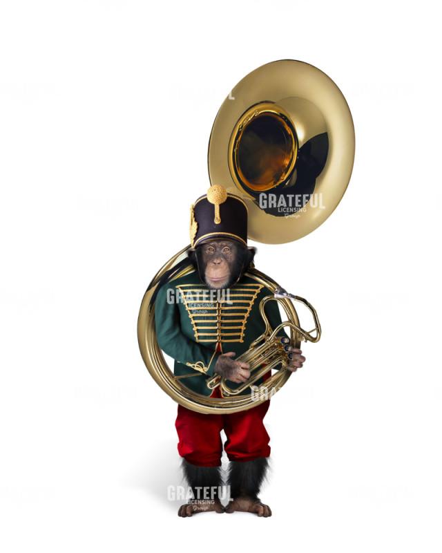 Band Tuba Monkey