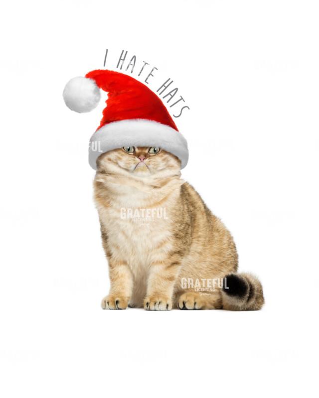 Christmas I hate hats