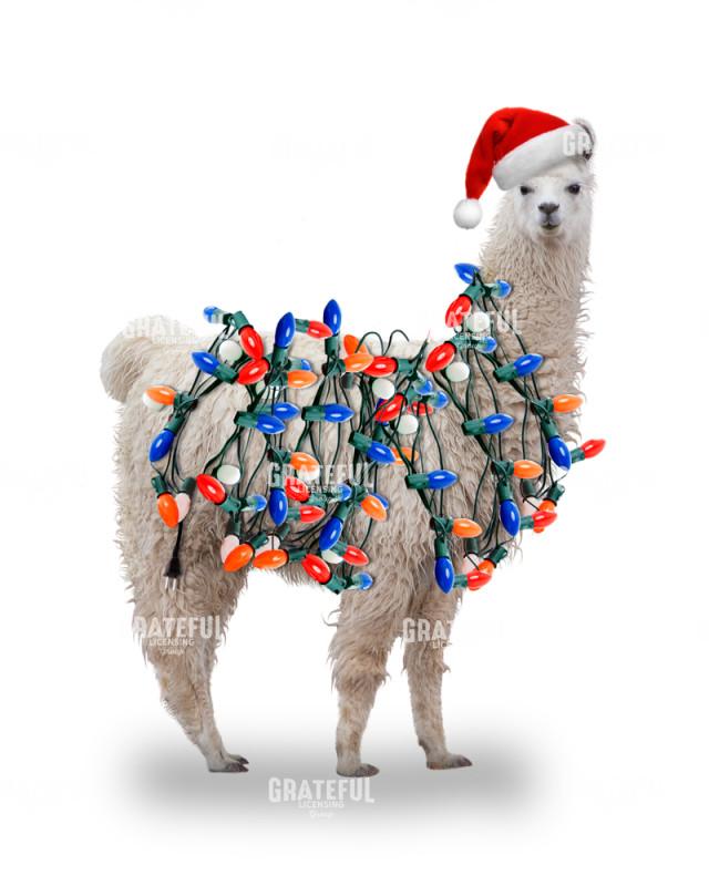 Christmas llama with lights
