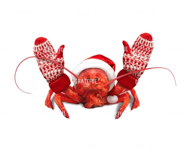 Lobster mittens