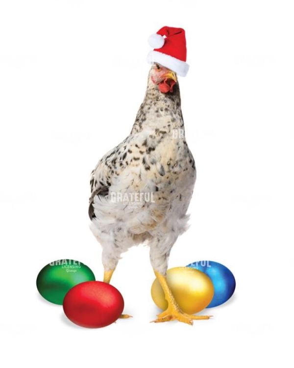 Christmas eggs