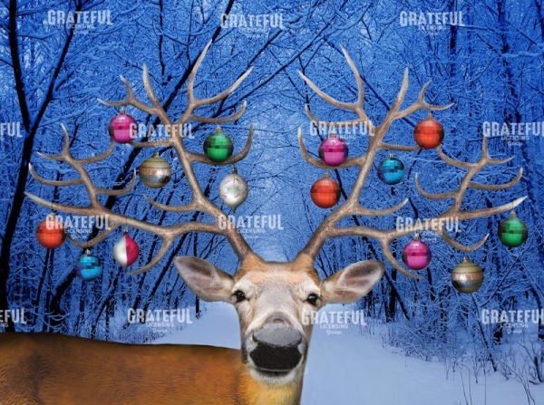 Reindeer christmas