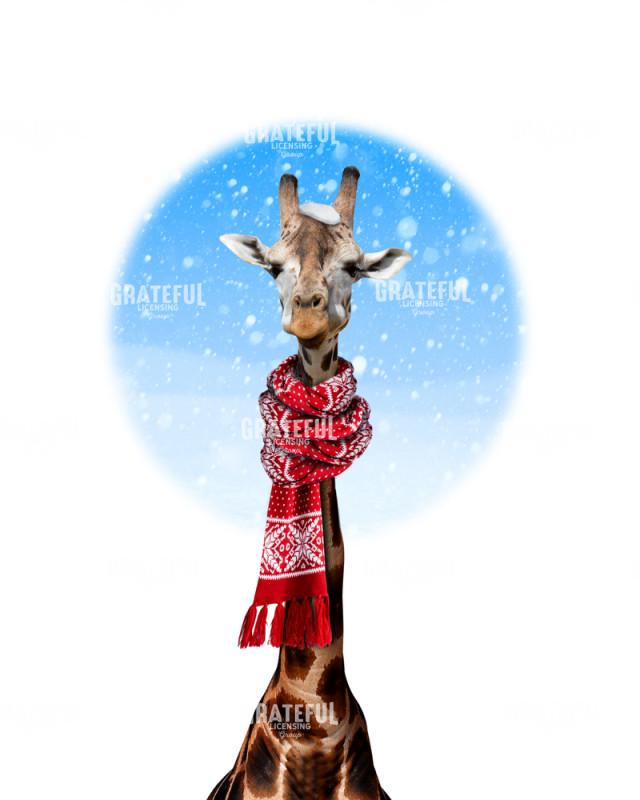 Christmas giraffe
