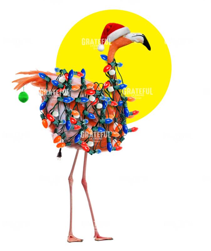 Christmas flamingo with lights