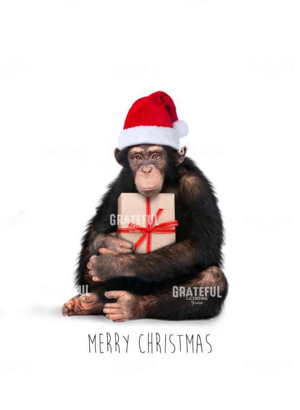 Christmas monkey