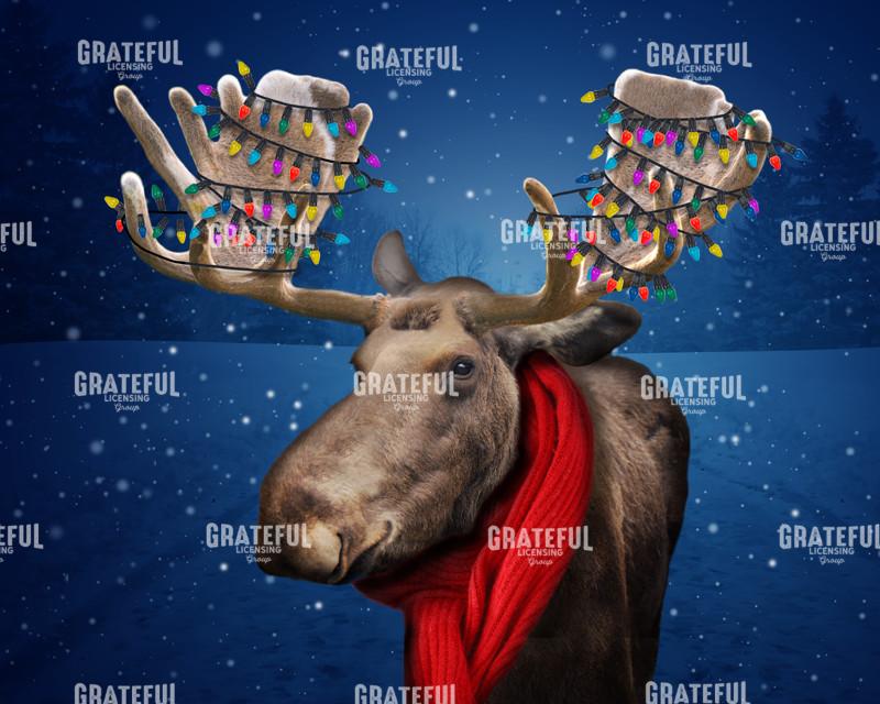 Christmas moose
