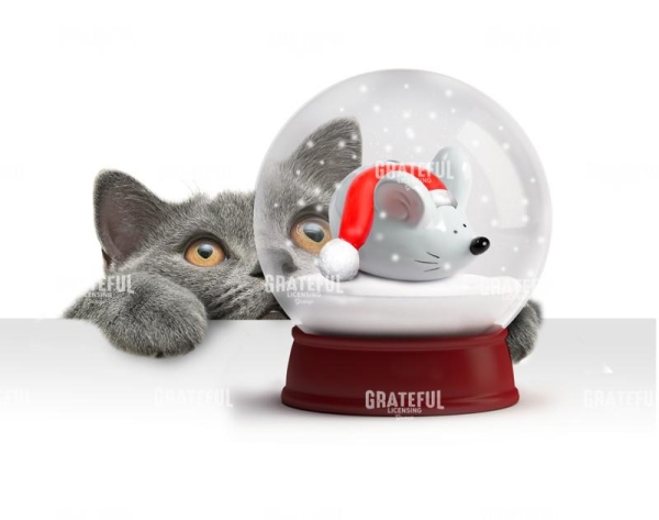 Christmas Snow globe