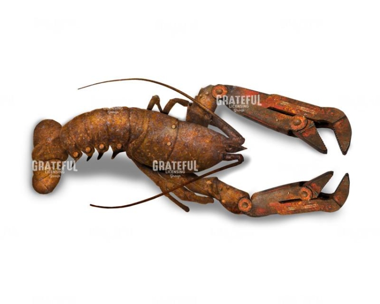 Lobster armor