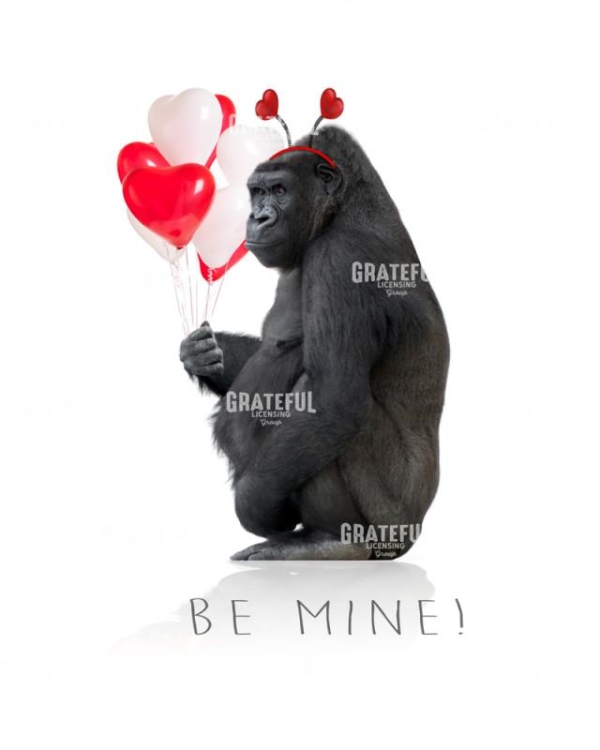 Valentine gorilla