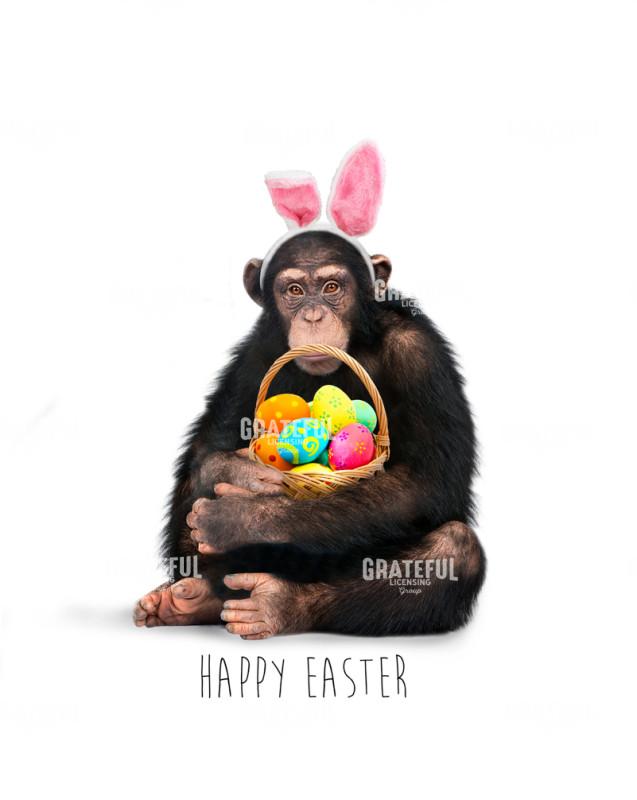 Easter monkey
