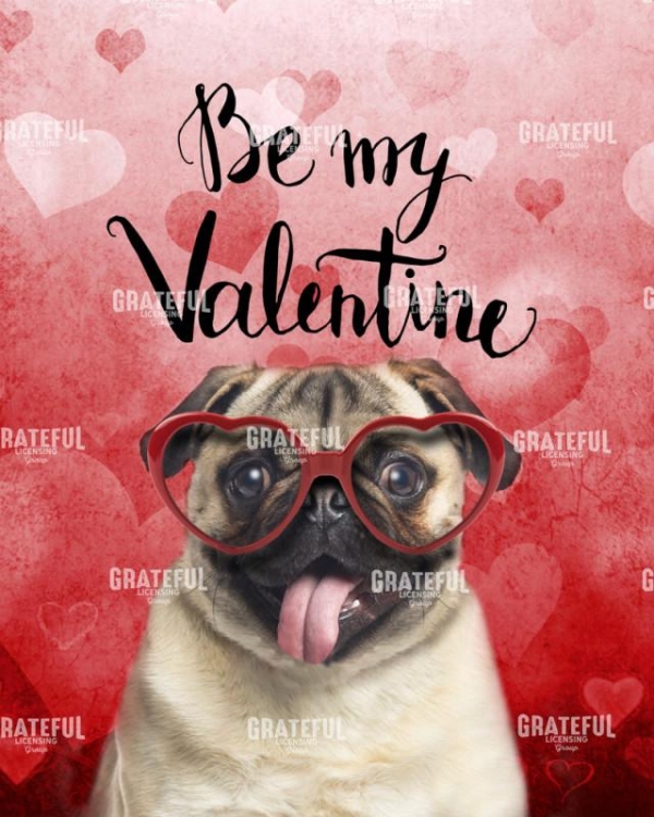 Valentine Pug 2