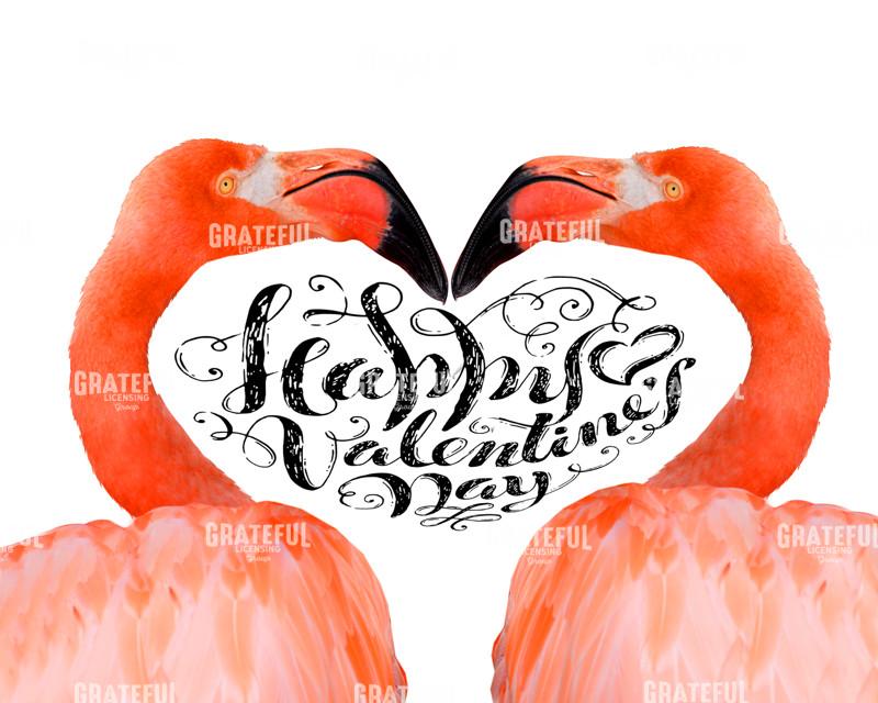 Valentine flamingo