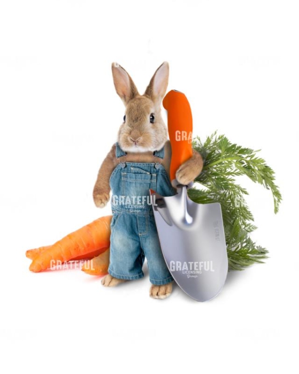 Peter rabbit