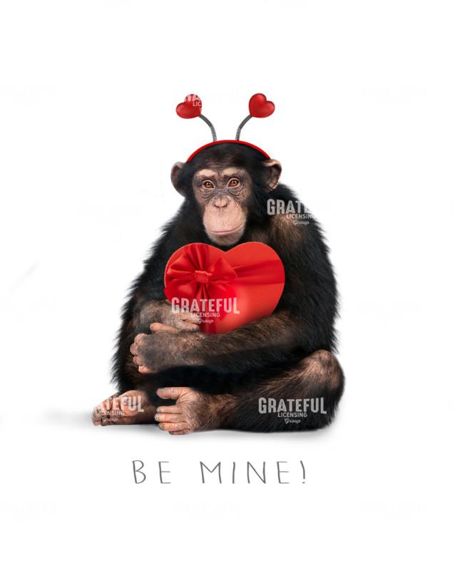 Valentine monkey