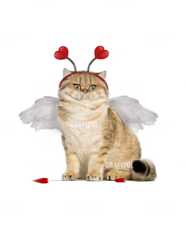 Valentine cupid