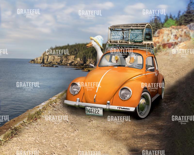 Leaving the harbor good (orange)