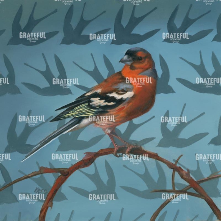 PASSERINE