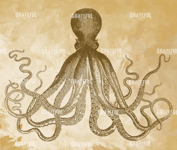 Octopus II
