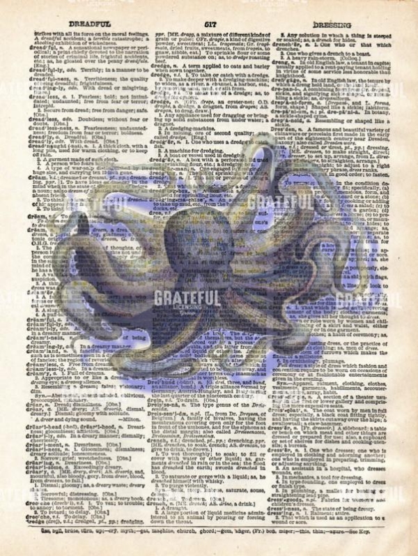 Octopus