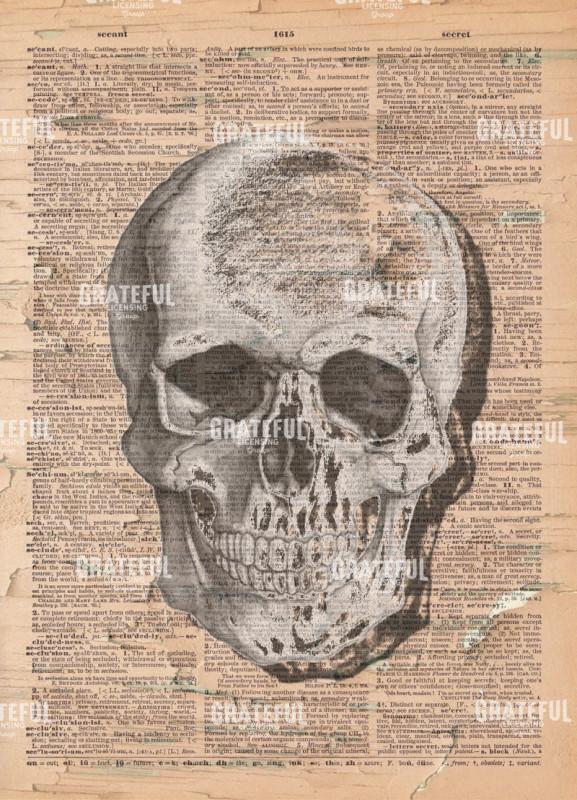 Skull of Britannica