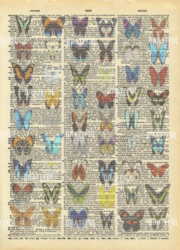 Butterfly Family