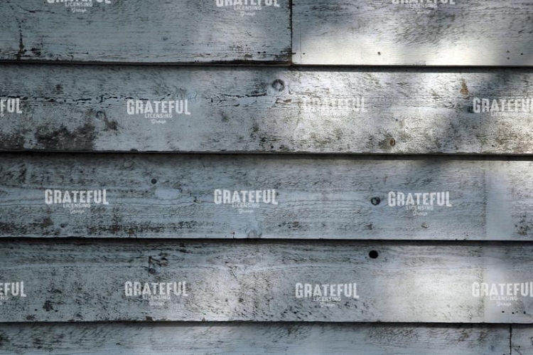 Texture siding wood