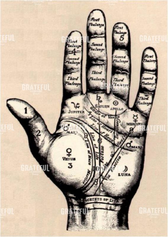 Hand Maps - Grateful Art Licensing