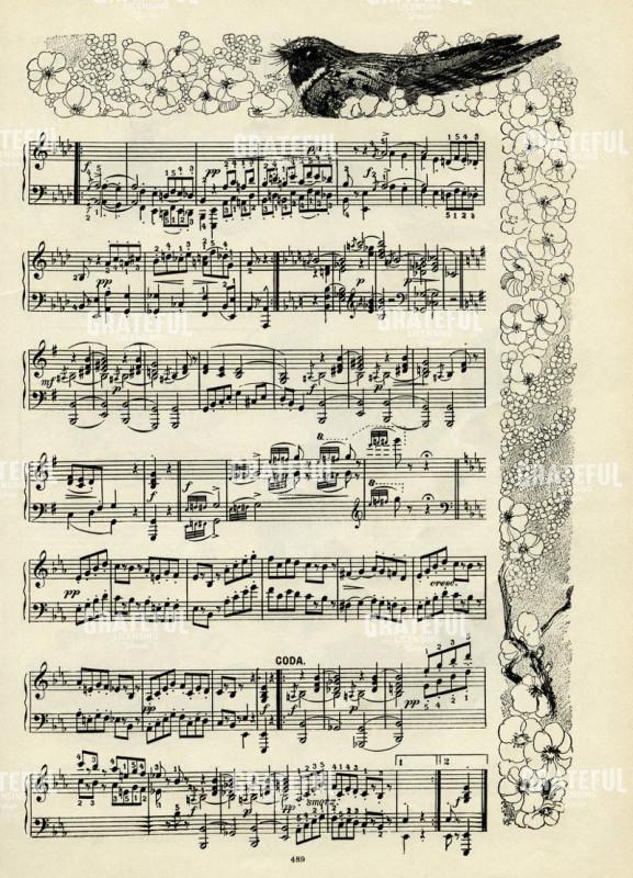 Music Notes 5