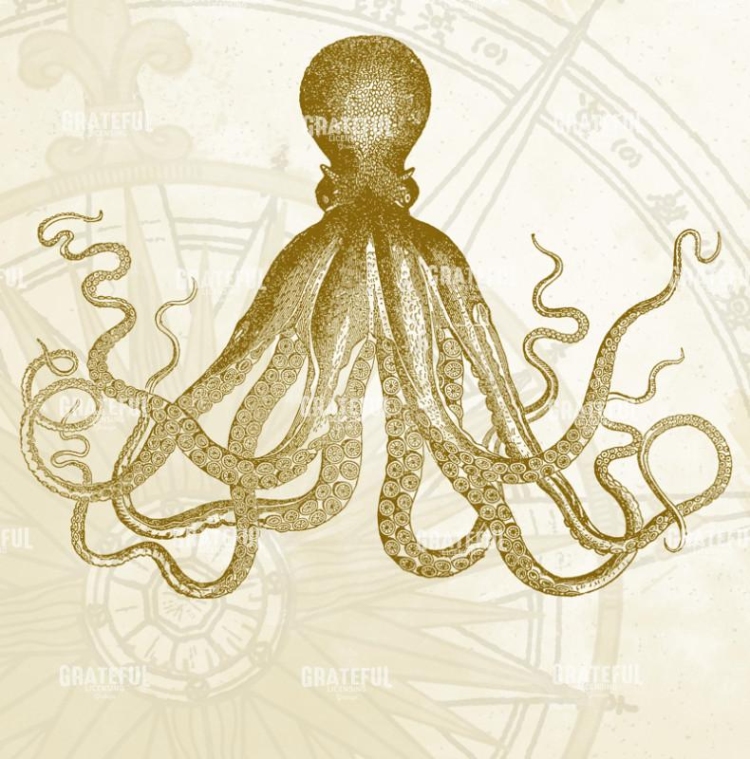 Gold Octopus