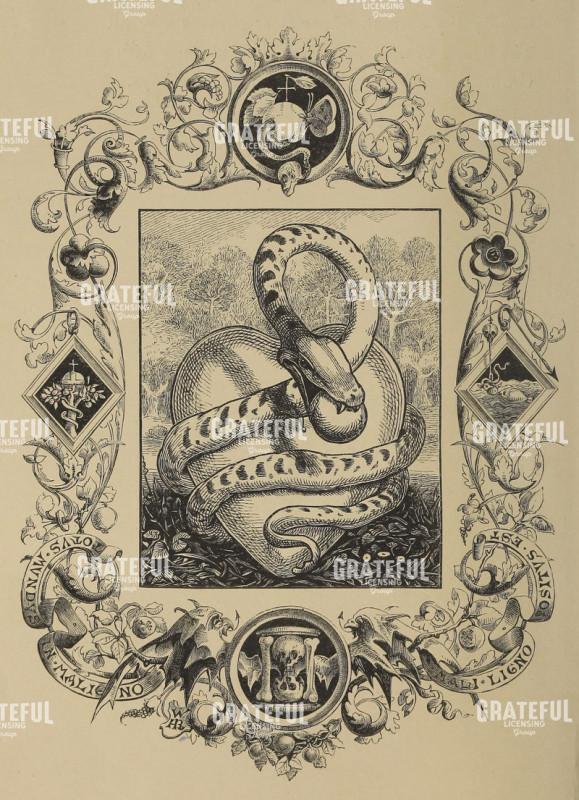 Serpent