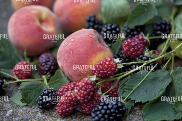 Peaches and Berries