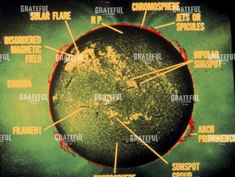 The Sun in Many Ways