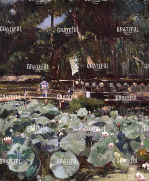 Water Lilies