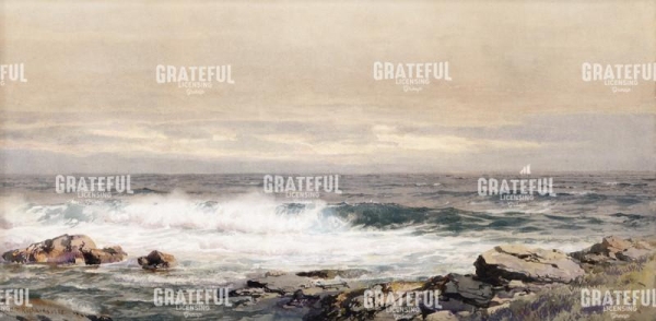 Coastal Waves