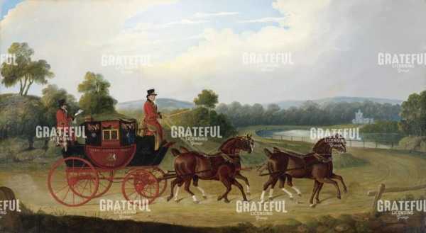 Riding Coach