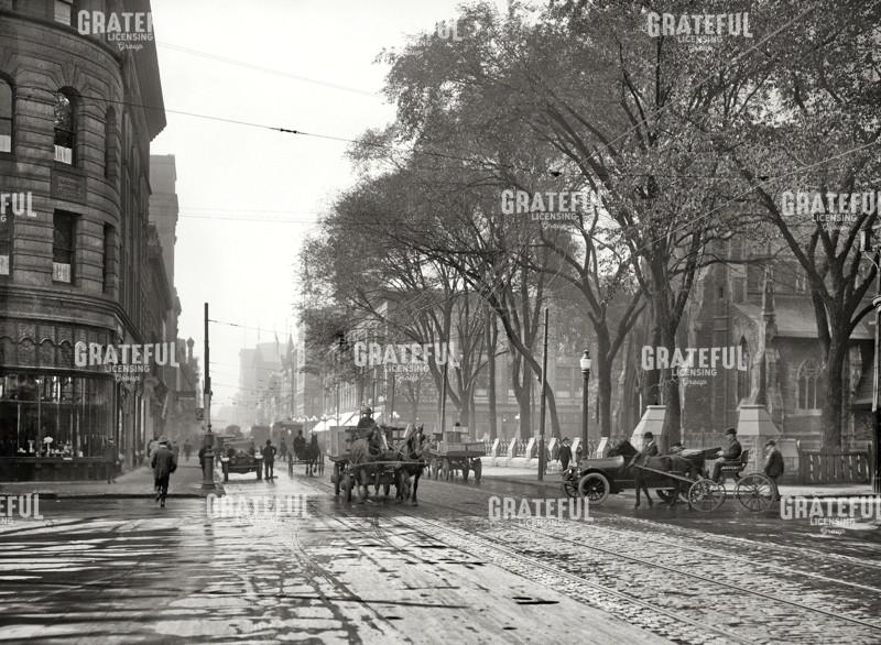 Horse drawn carriage