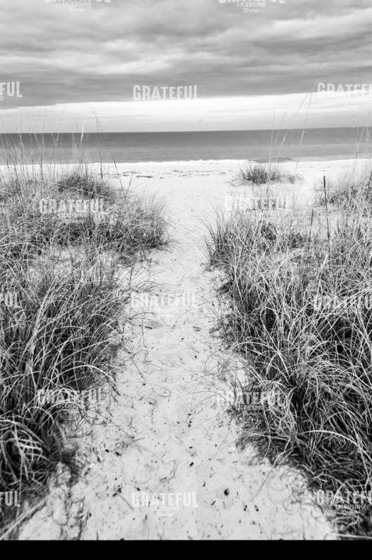 Sandy Beach Entry Vertical bw