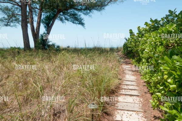My Path
