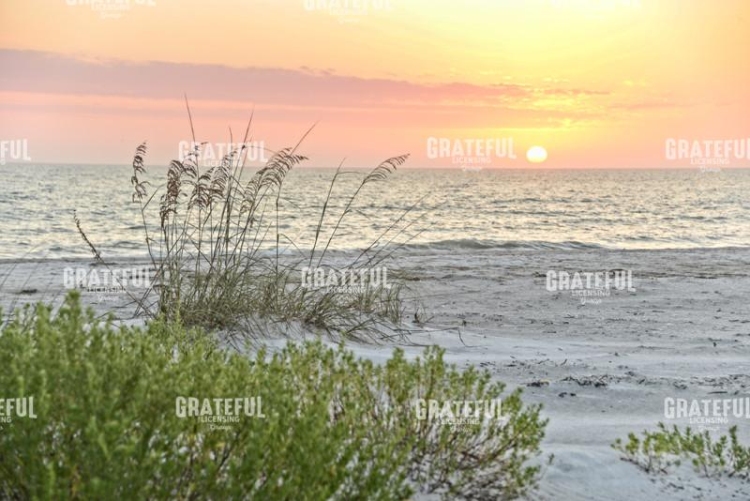 Soothing Sunset