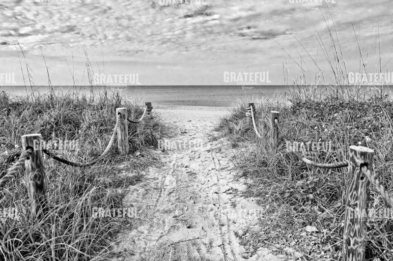 Morning Has Broken bw