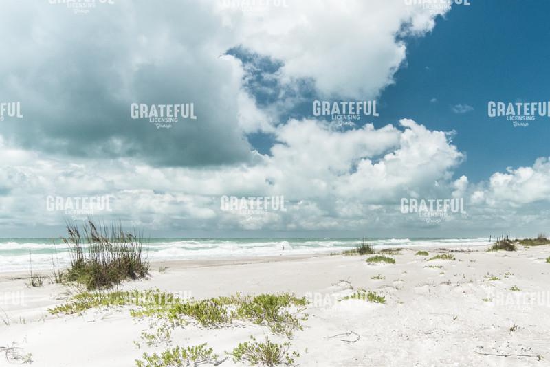 Beach Dunes, White Waves
