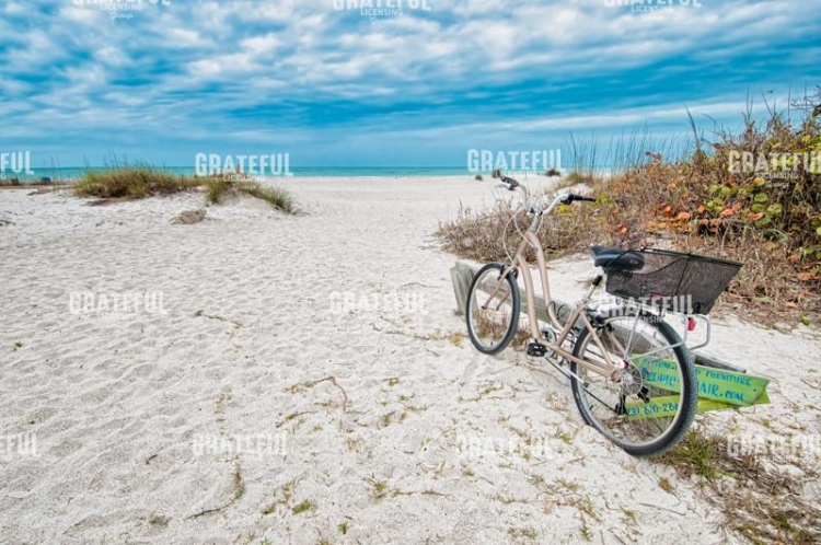 Beach Bike