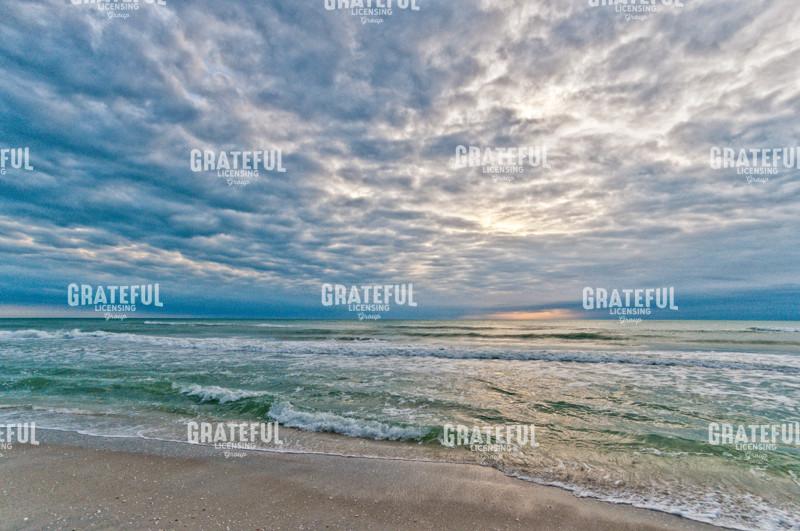 Tropical Inspiration