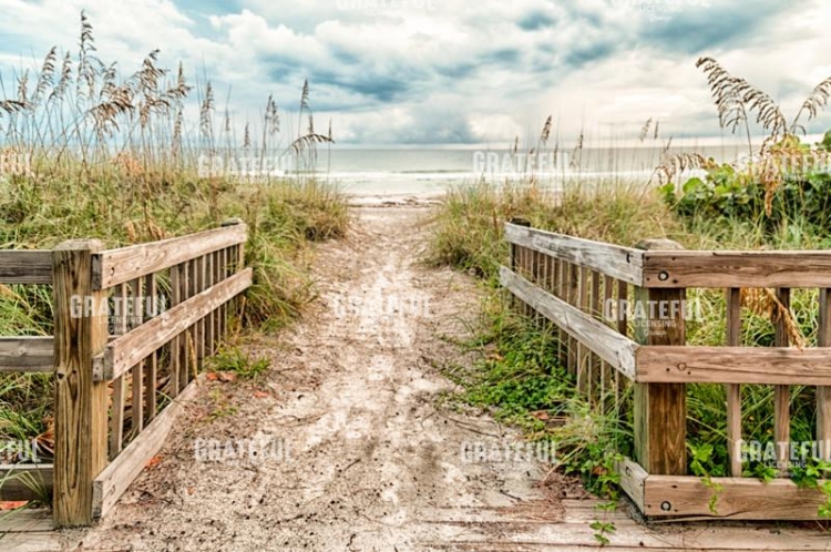 Seaside Destination