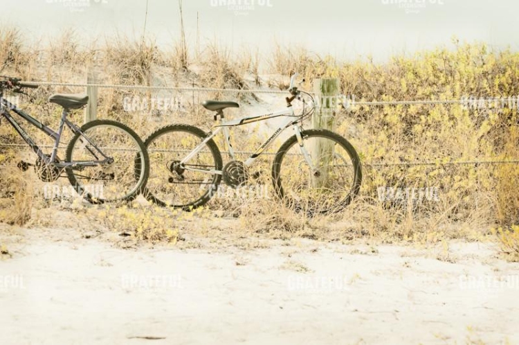 Beach Bikes