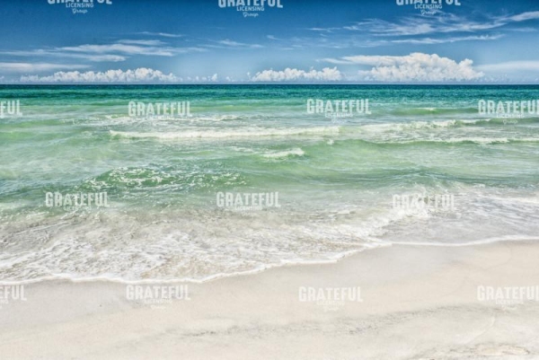 Seas the Day!